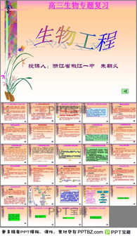 关于生物工程ppt模板